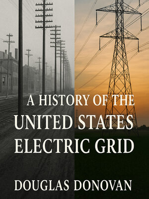 cover image of A History of the United States Electric Grid